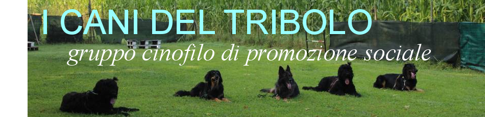 I CANI DEL TRIBOLO