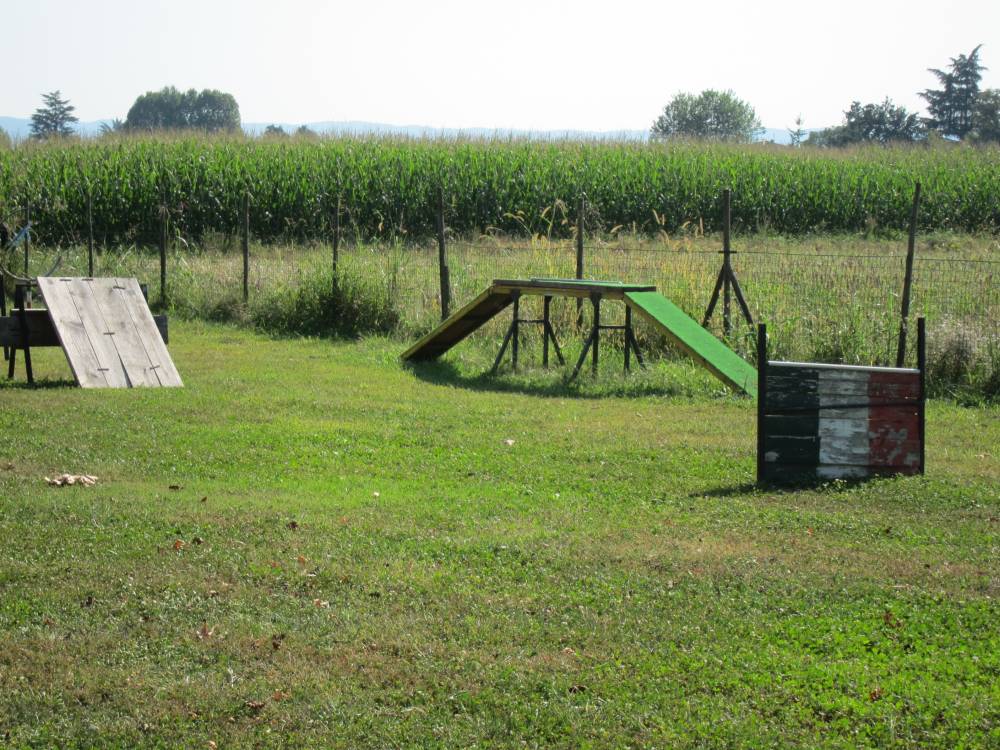 campo scuola 2 con elementi